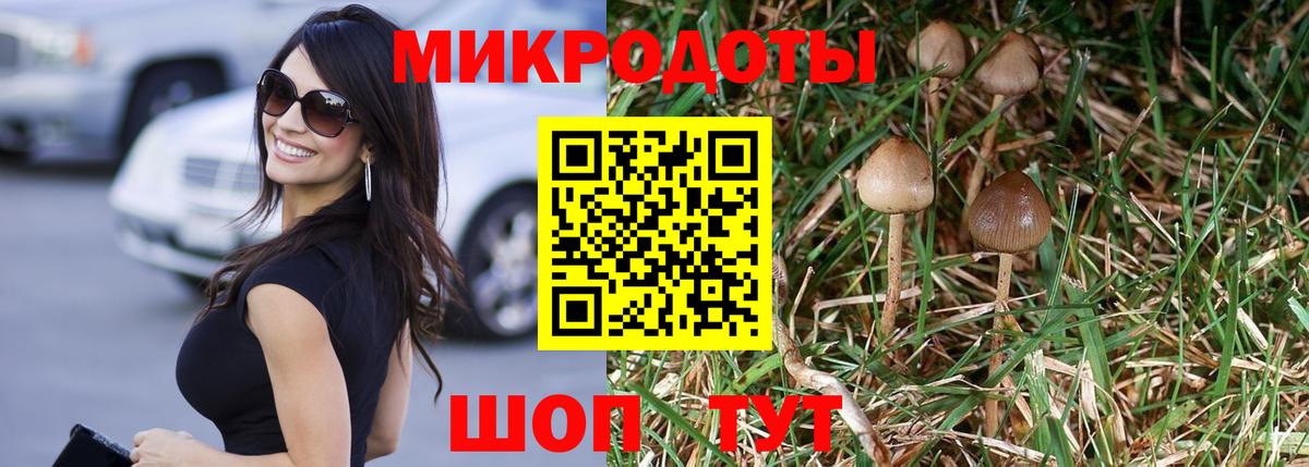 Галлюциногенные грибы MAGIC MUSHROOMS Дальнереченск