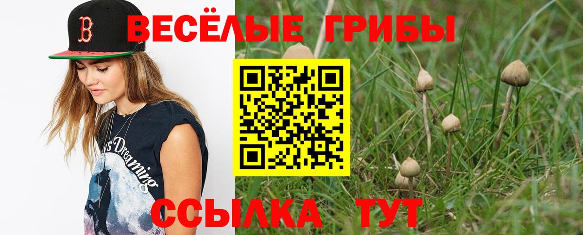 Псилоцибиновые грибы Magic Shrooms  Вход с VPN  купить наркотики цена  Дальнереченск 